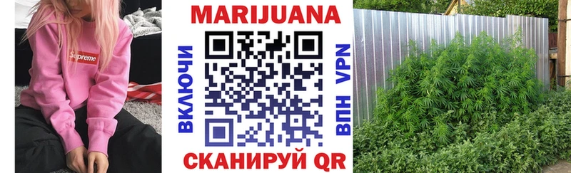 Бошки марихуана AK-47 где можно купить Киржач